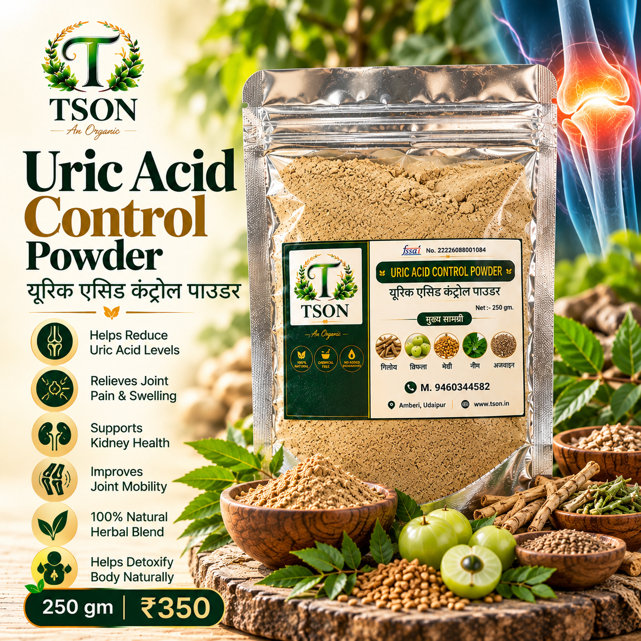 Uric Acid Control Powder - TSON An Organic
